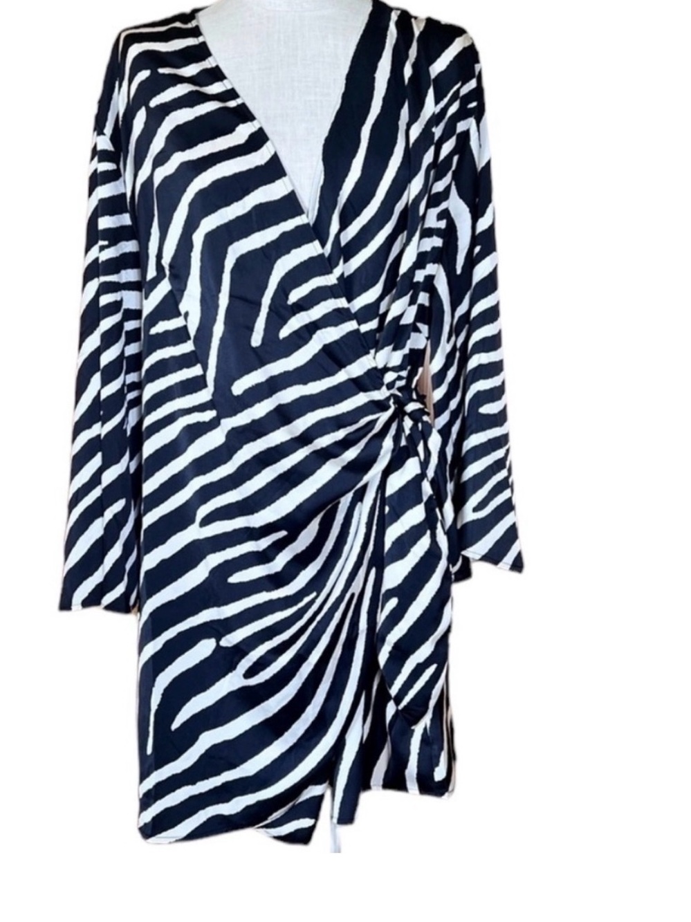 H&M Black and White Zebra-Stripe Dress